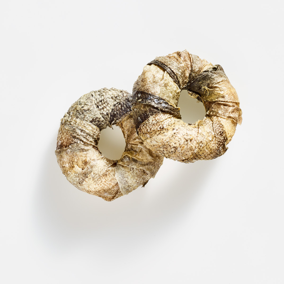 2515_AKUT_81187_ChewingRingBeefw.Fish-web